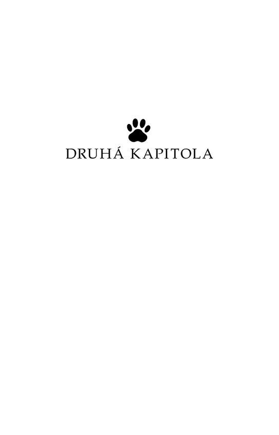 Charlie - mačiatko, ktoré zachránilo život