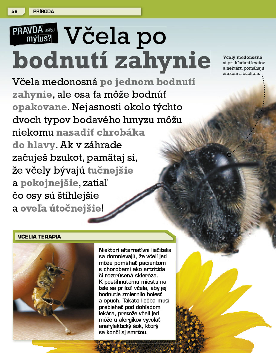 Neuveriteľný svet!