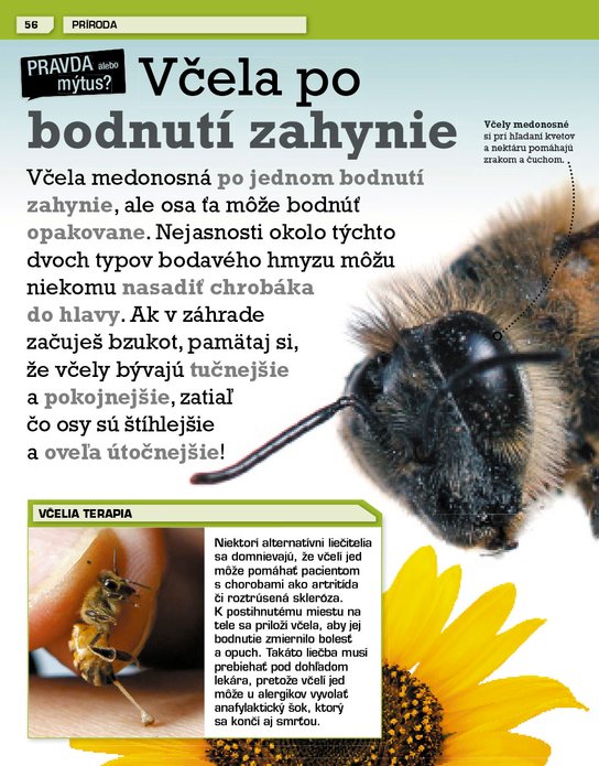 Neuveriteľný svet!