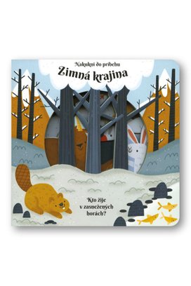 Zimná krajina