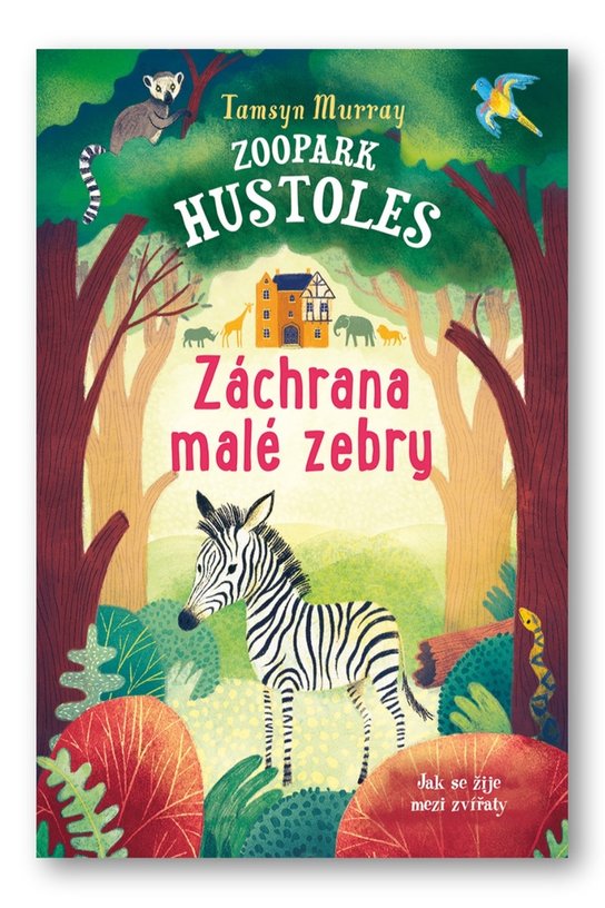 Zoopark Hustoles Záchrana malé zebry