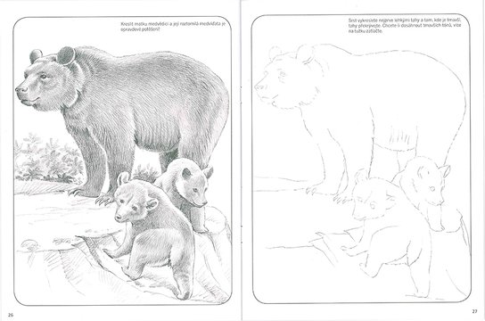 Škola kreslení, stínování - zvířata 2