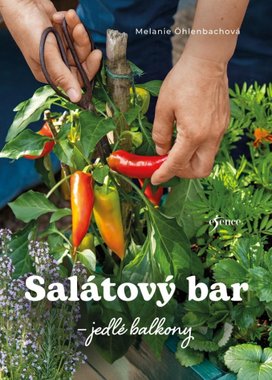 Salátový bar