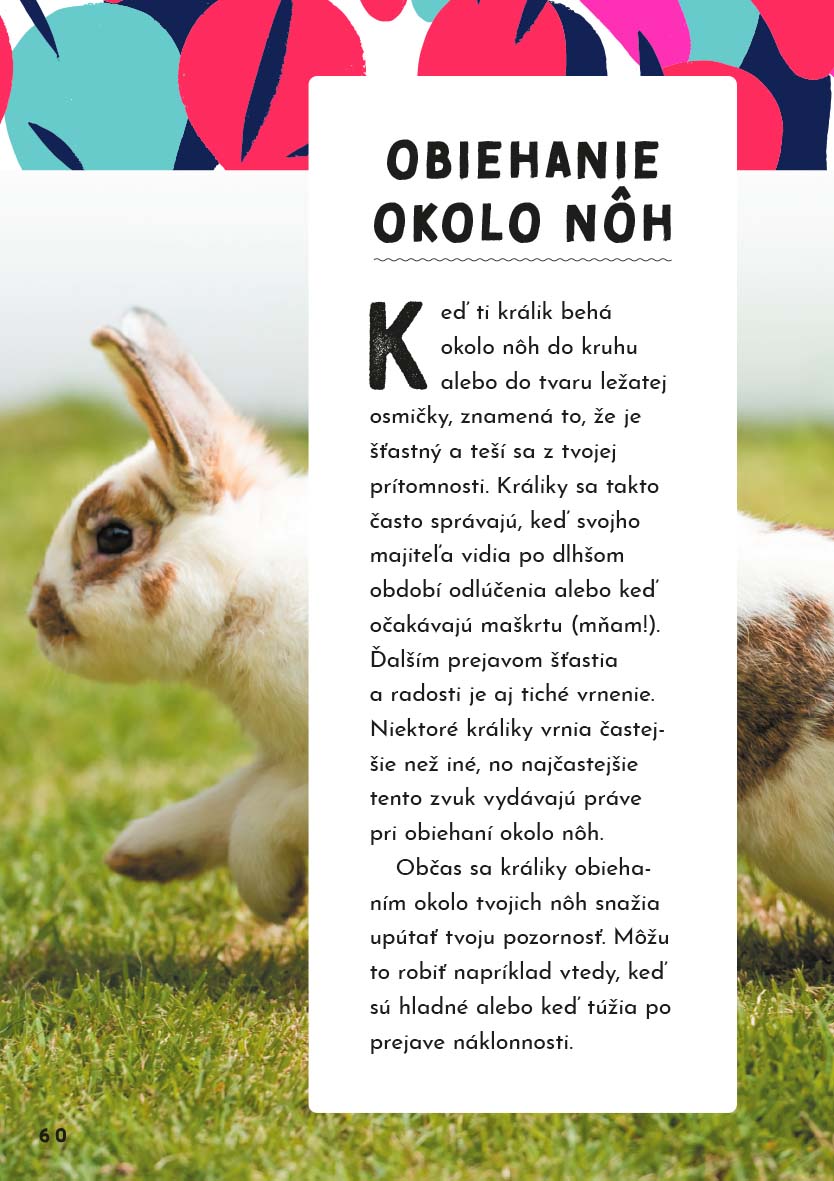 Ako sa dohovoriť so zvieratami