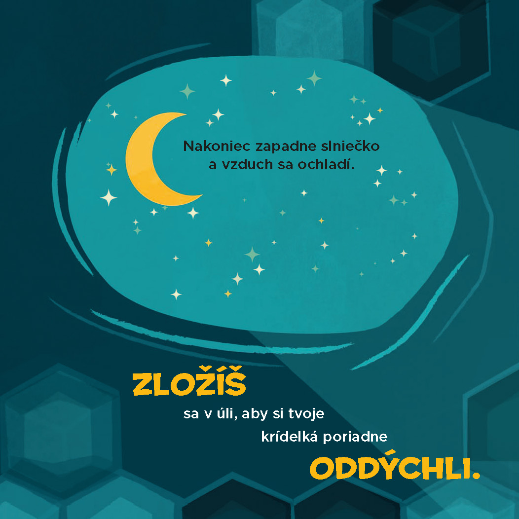 Spoznaj svoj svet - Buď ako včielka! 