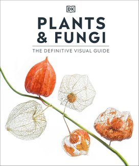 Plants and Fungi