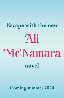 Untitled Ali McNamara 2024