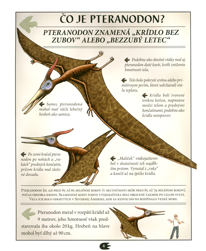 Pteranodon