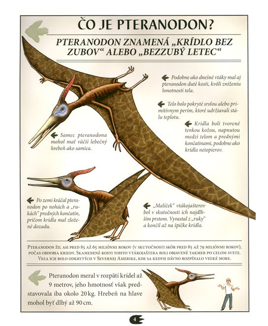 Pteranodon
