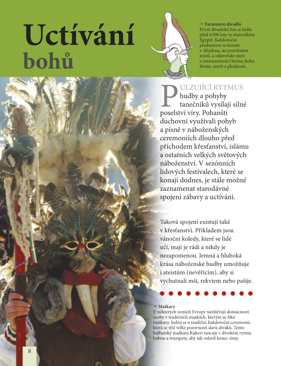 Věřili byste, že cirkusový kůň dovede počítat?