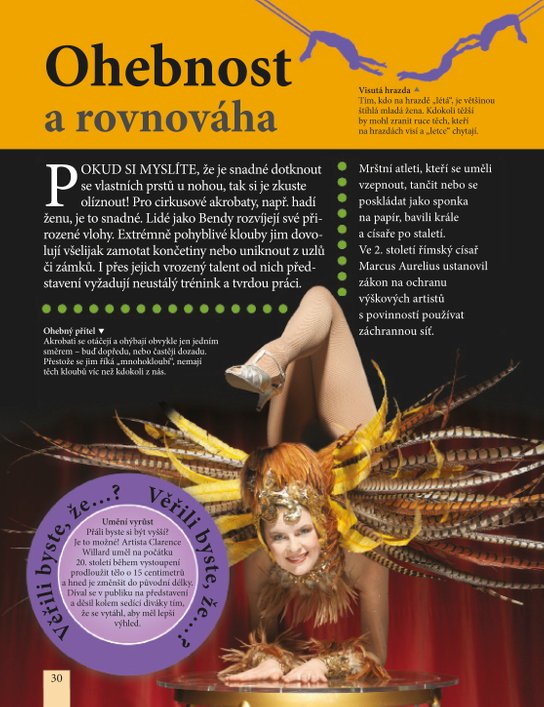 Věřili byste, že cirkusový kůň dovede počítat?