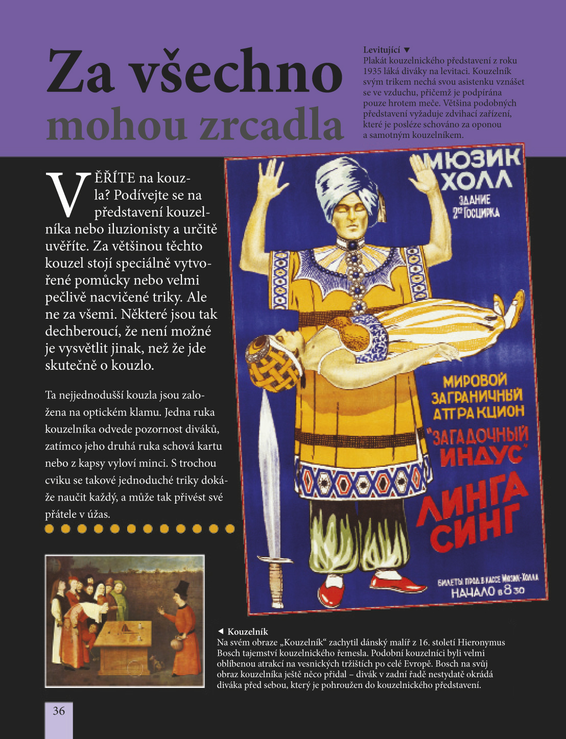 Věřili byste, že cirkusový kůň dovede počítat?