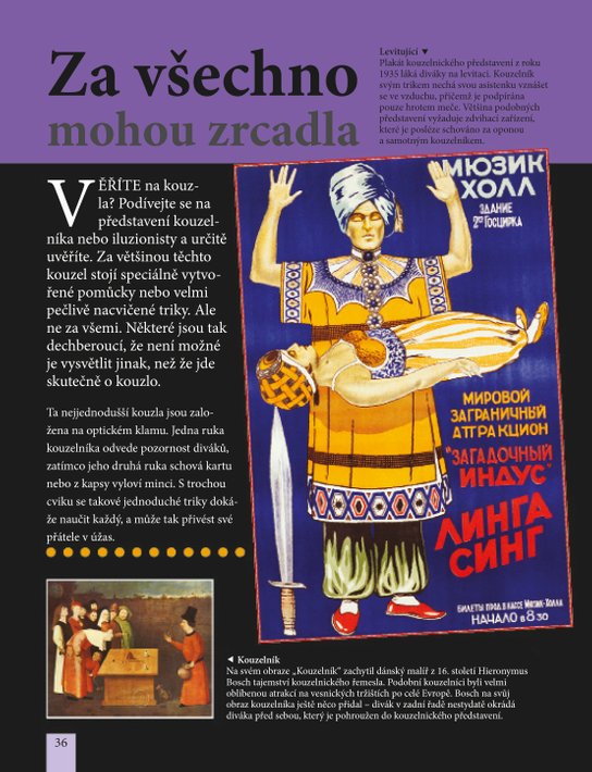Věřili byste, že cirkusový kůň dovede počítat?
