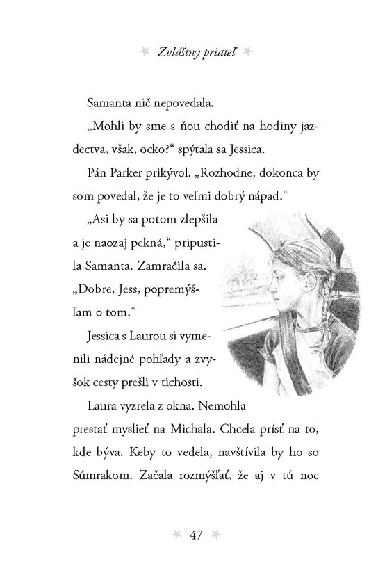 Môj tajný jednorožec 6: Zvláštny priateľ
