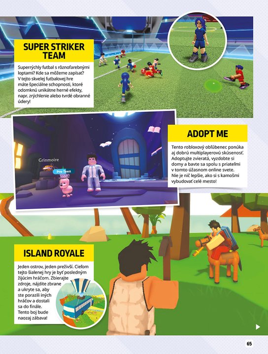 Roblox 100% neoficiálny - Knižka na celý rok