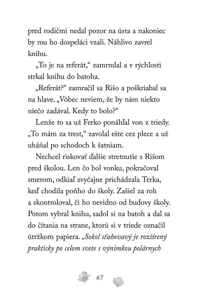 Zvierací záchranári – Poranený sokol