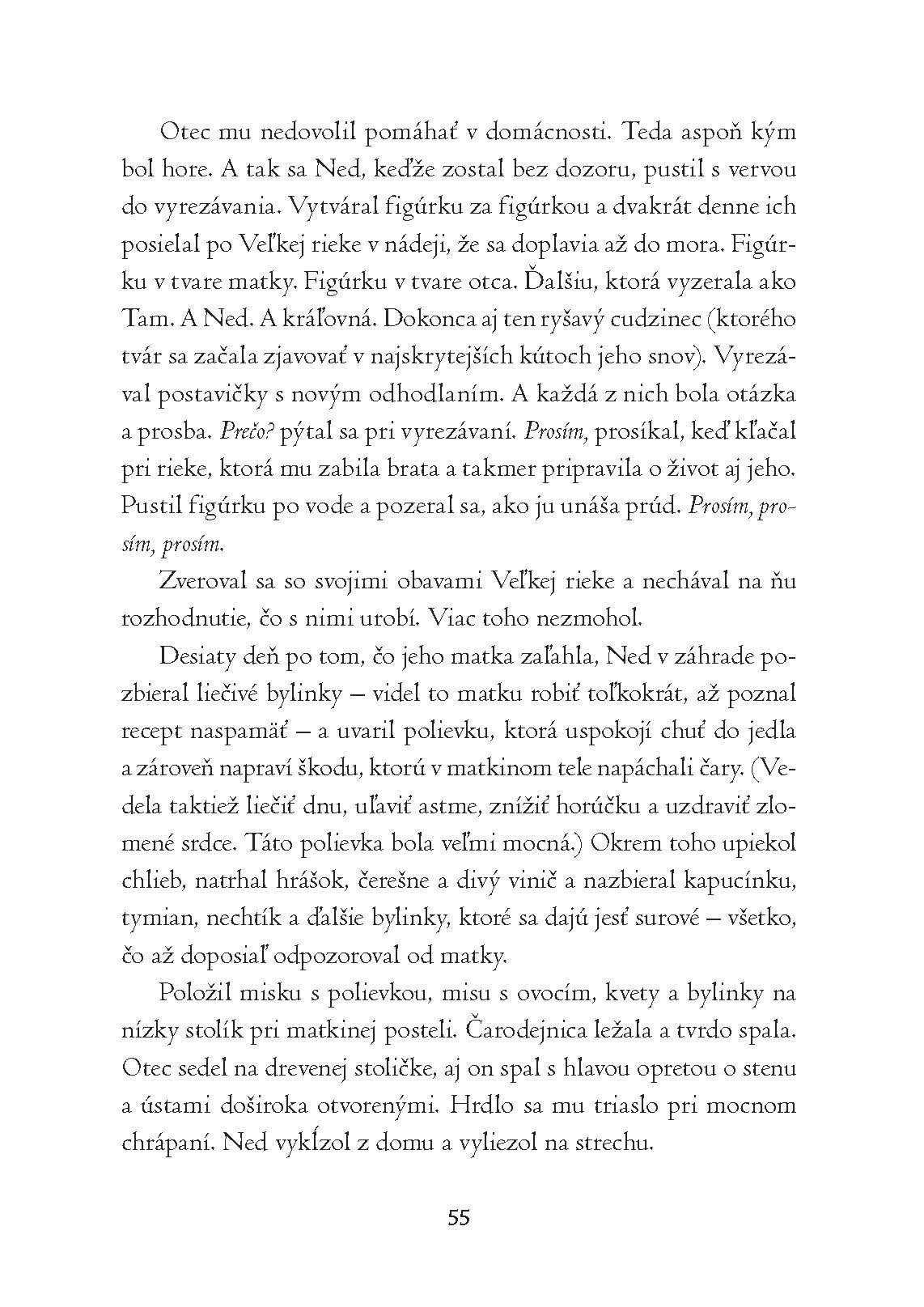 Syn čarodejnice