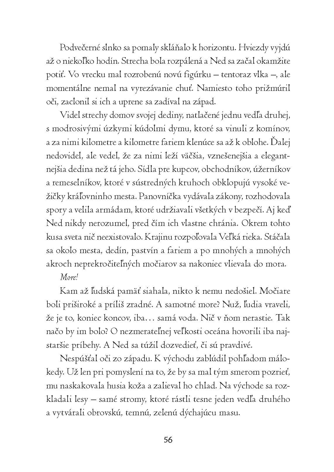 Syn čarodejnice