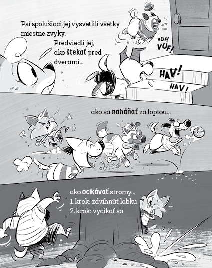 Havkáči. Neobyčajní psí detektívi 1