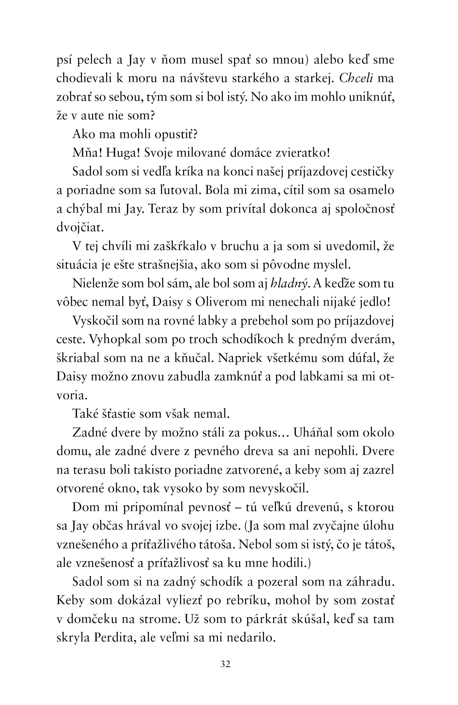 Hugo a Vianoce pod psa