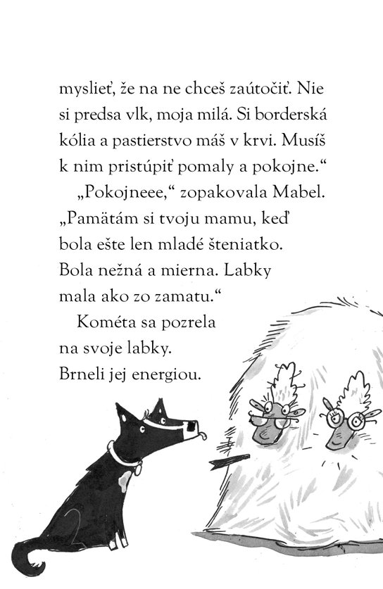 Šteniatka z Huňatej akadémie 2 - Kométa a búrková hora