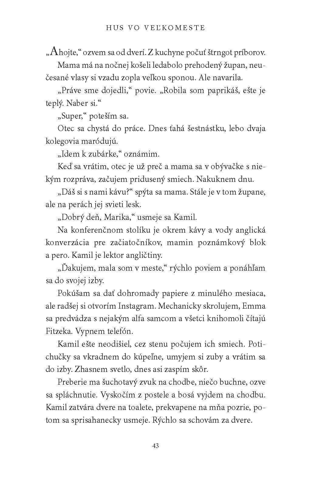 Hus vo veľkomeste