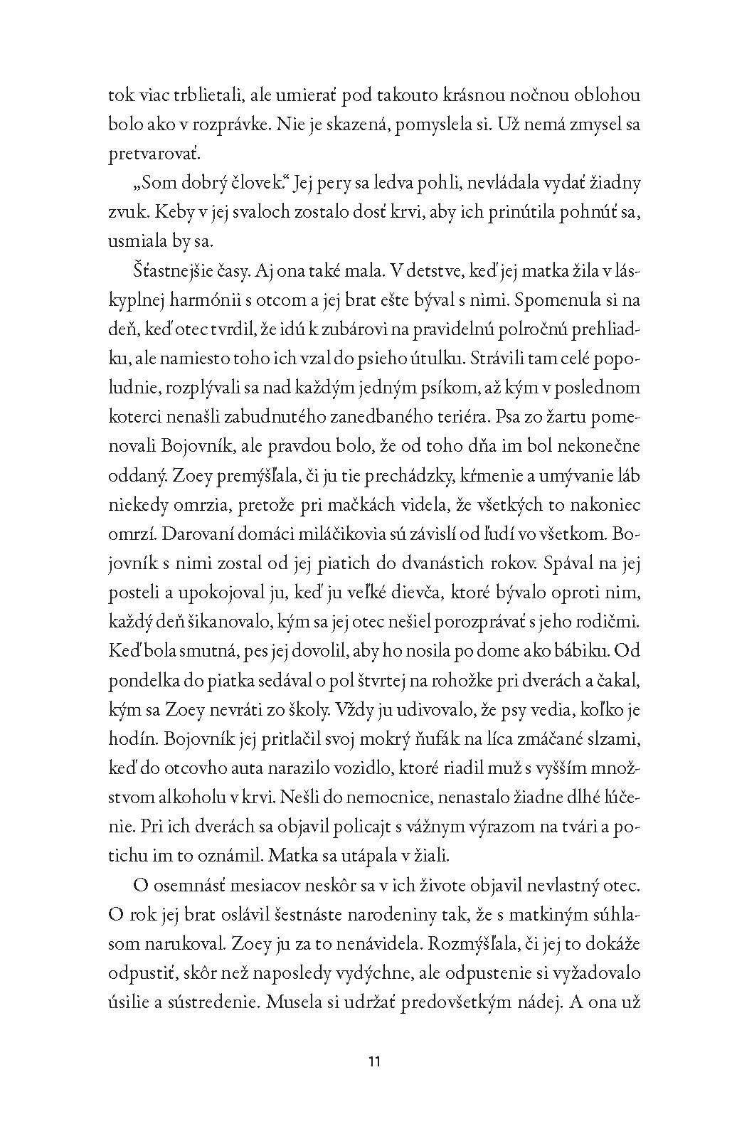 Dokonalé ticho