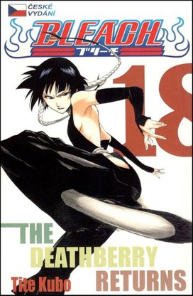 Bleach 18