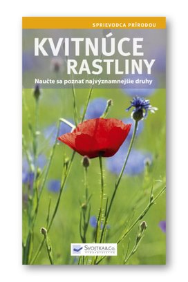 Kvitnúce rastliny