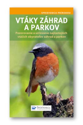 Vtáky záhrad a parkov