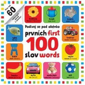 Podívej se pod okénko Prvních 100 slov