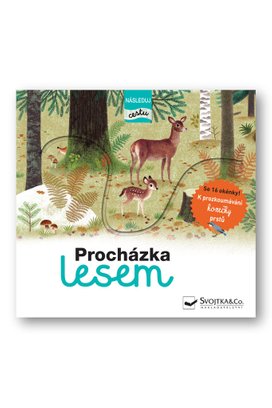 Procházka lesem