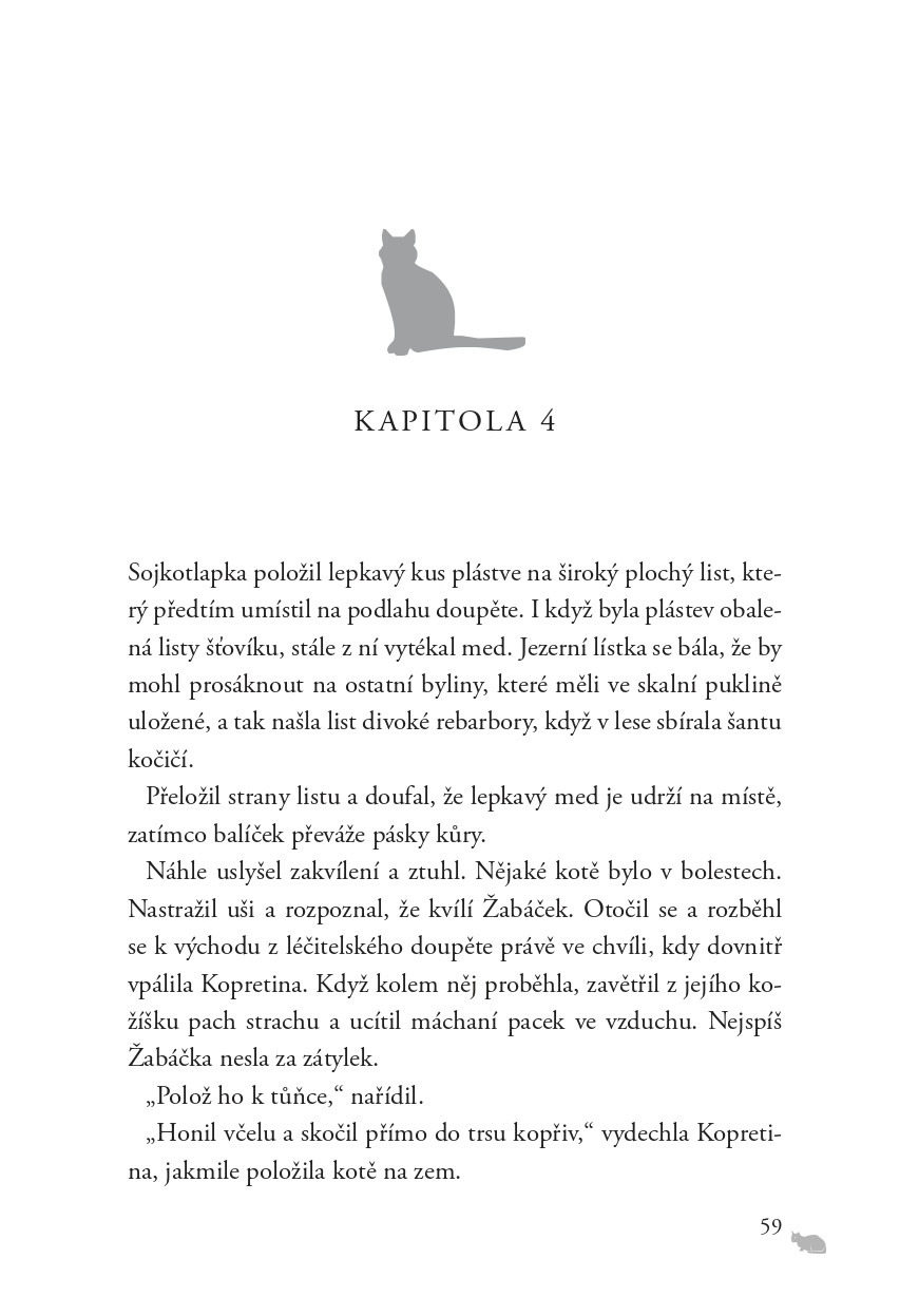 Kočičí válečníci: Síla tří (4) – Zatmění slunce