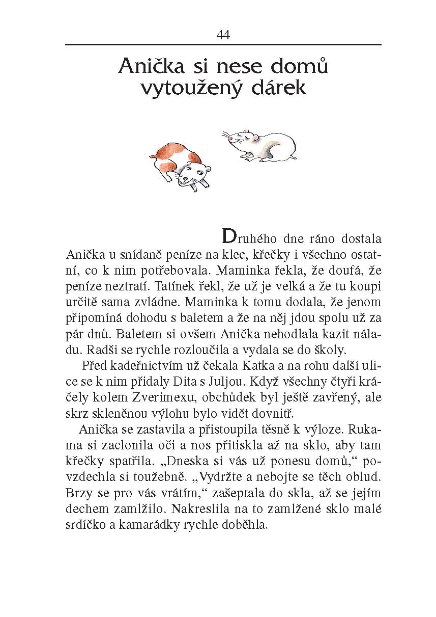 Anička ve městě