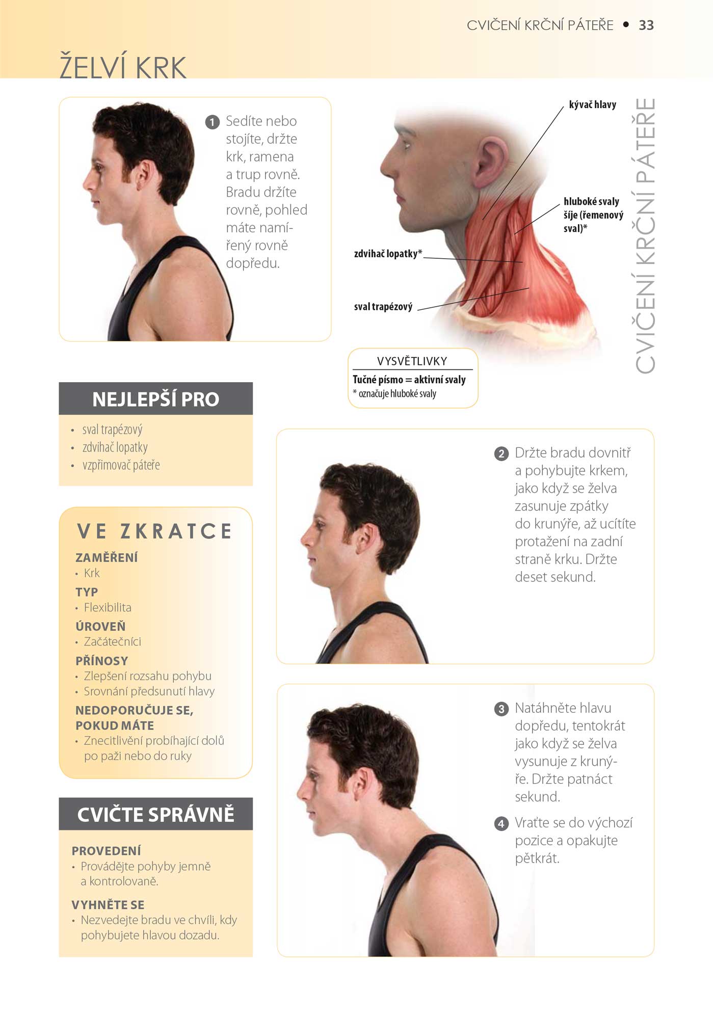 Cvičení pro zdravá záda - anatomie