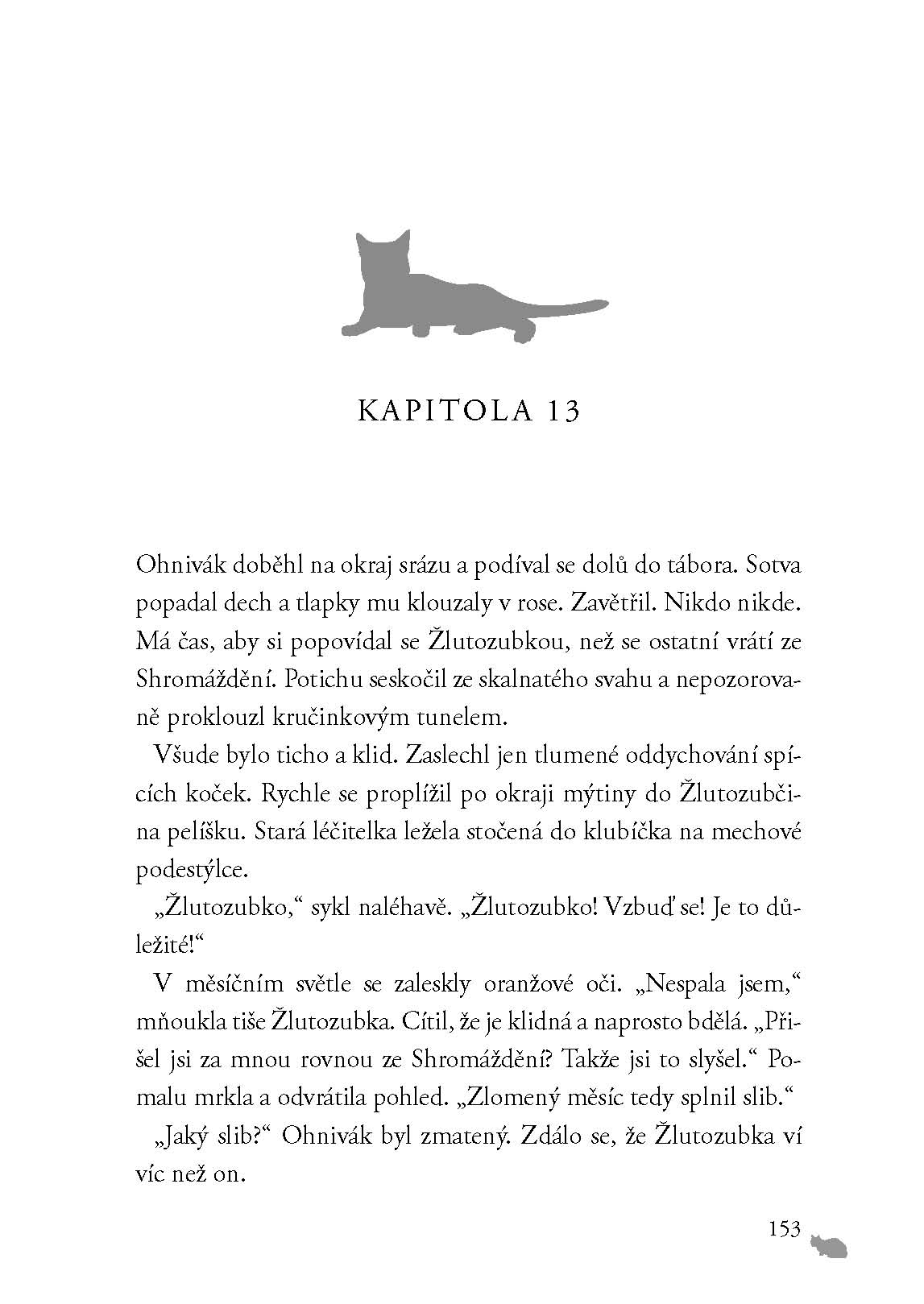 Kočičí válečníci (1) - Vzhůru do divočiny