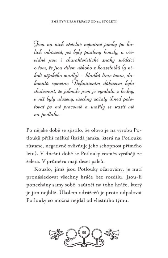 Famfrpál v průběhu věků