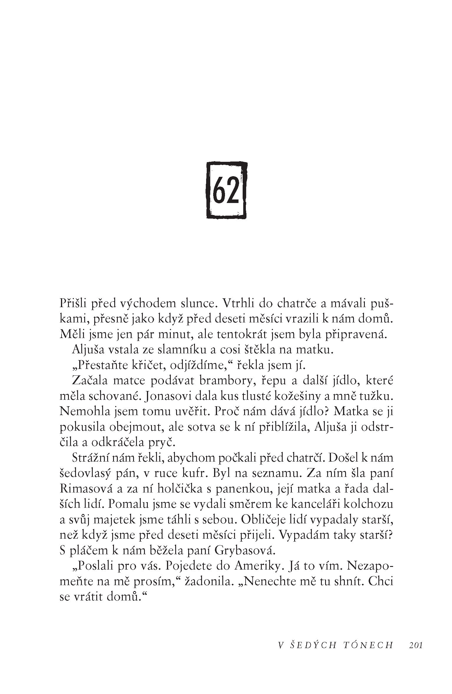 V šedých tónech