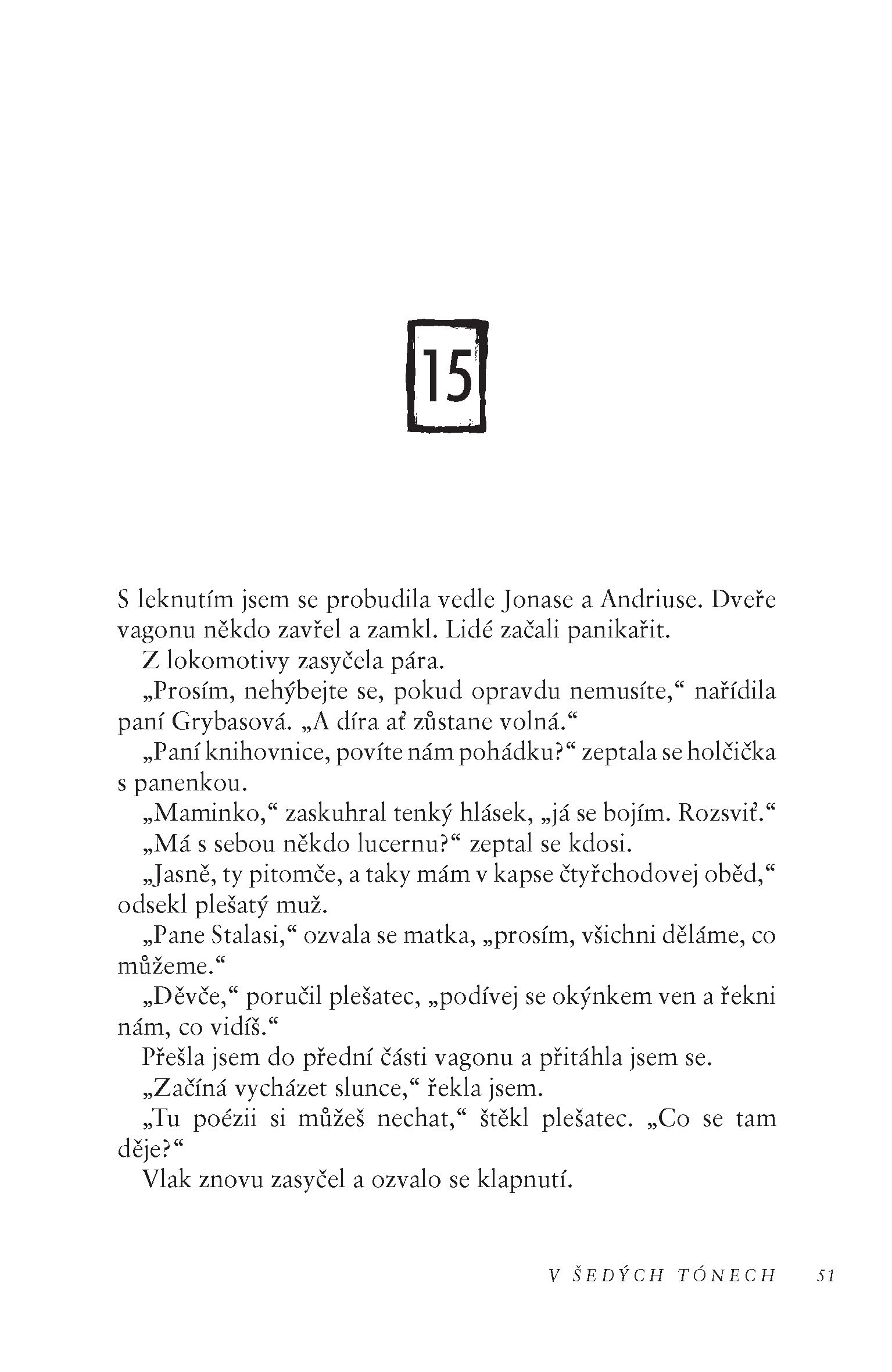 V šedých tónech