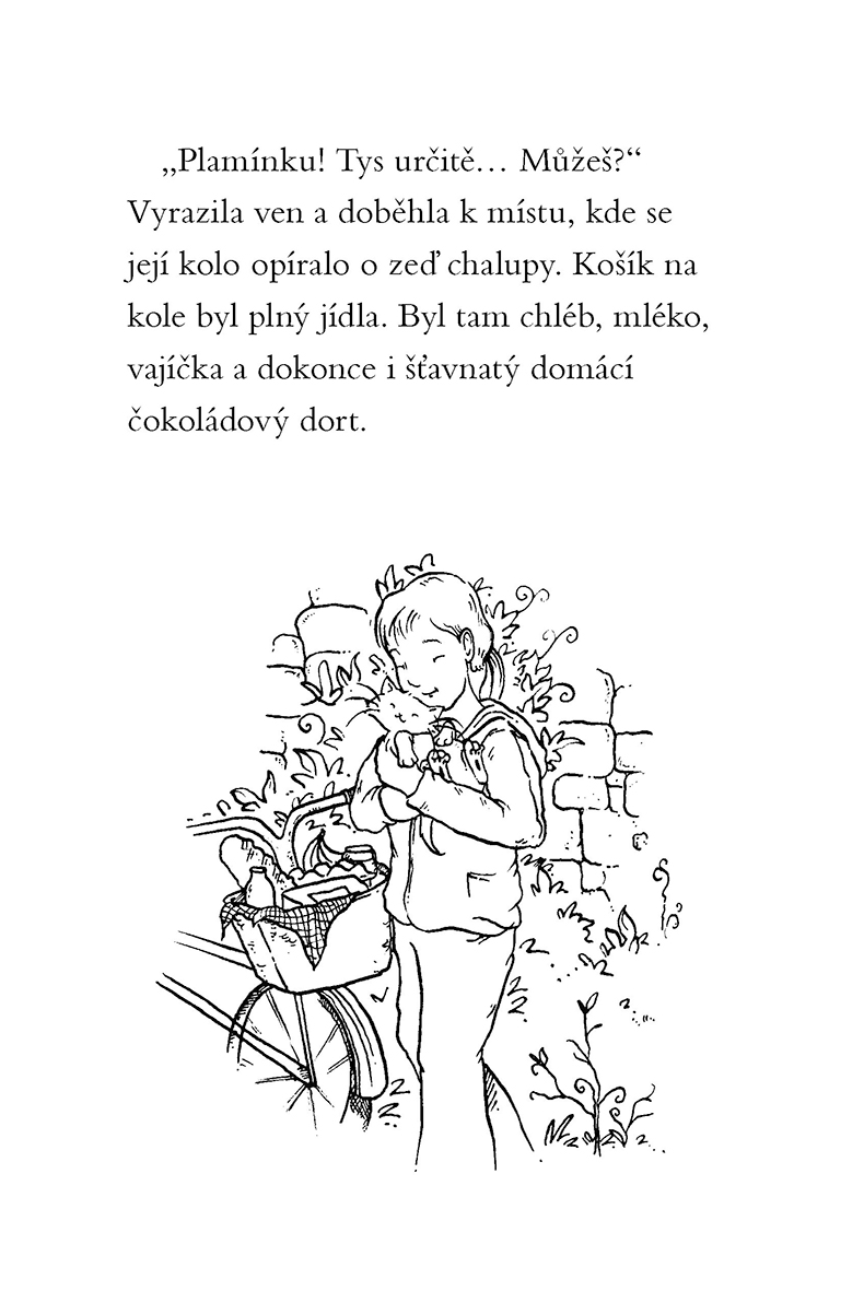 Kouzelné koťátko - Letní dobrodružství