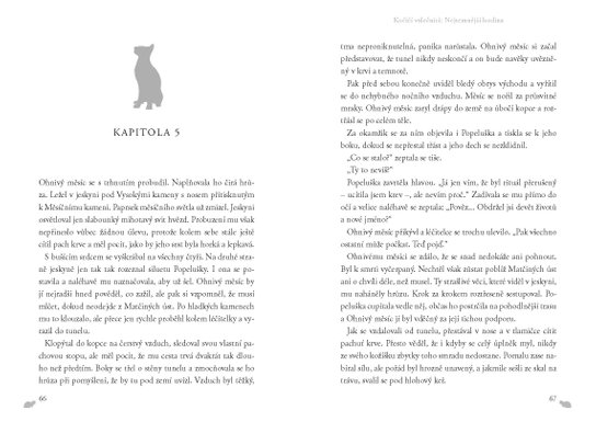 Kočičí válečníci (6) - Nejtemnější hodina
