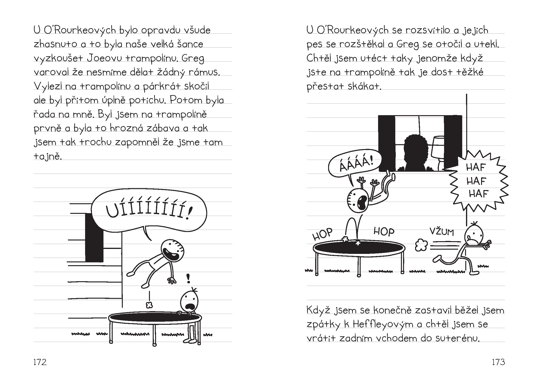 Deník báječného kamaráda