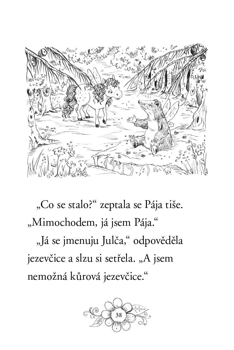 Zvířátka z Kouzelného lesa – Poník Pája