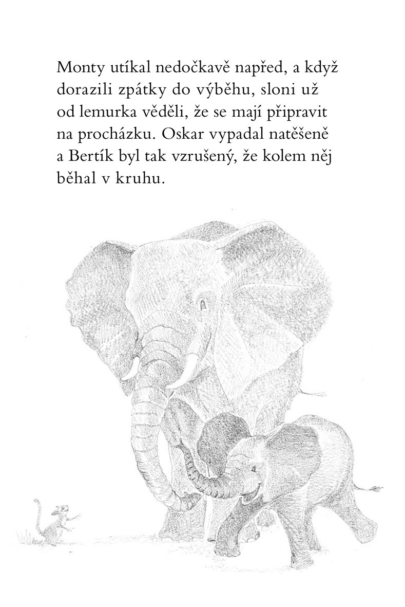 Ema a její kouzelná ZOO - Ztřeštěné slůně