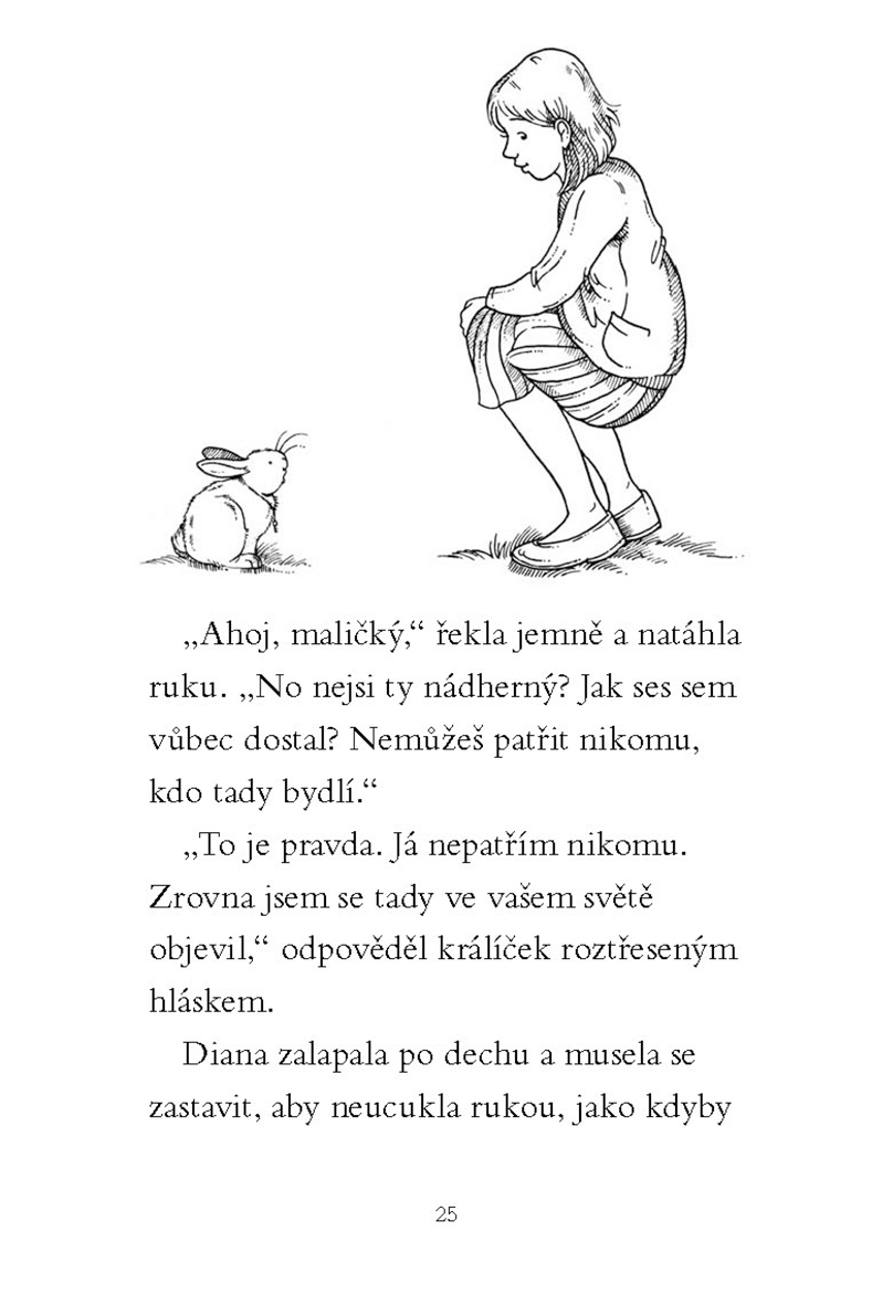 Kouzelný králíček - Strážce klíče