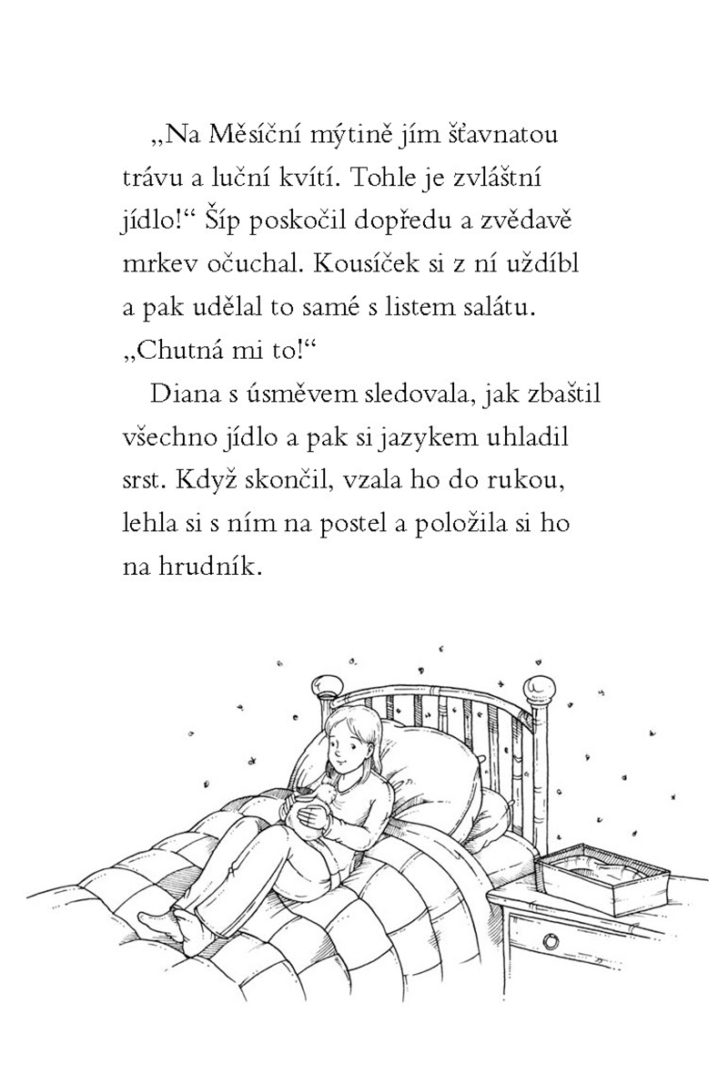 Kouzelný králíček - Strážce klíče