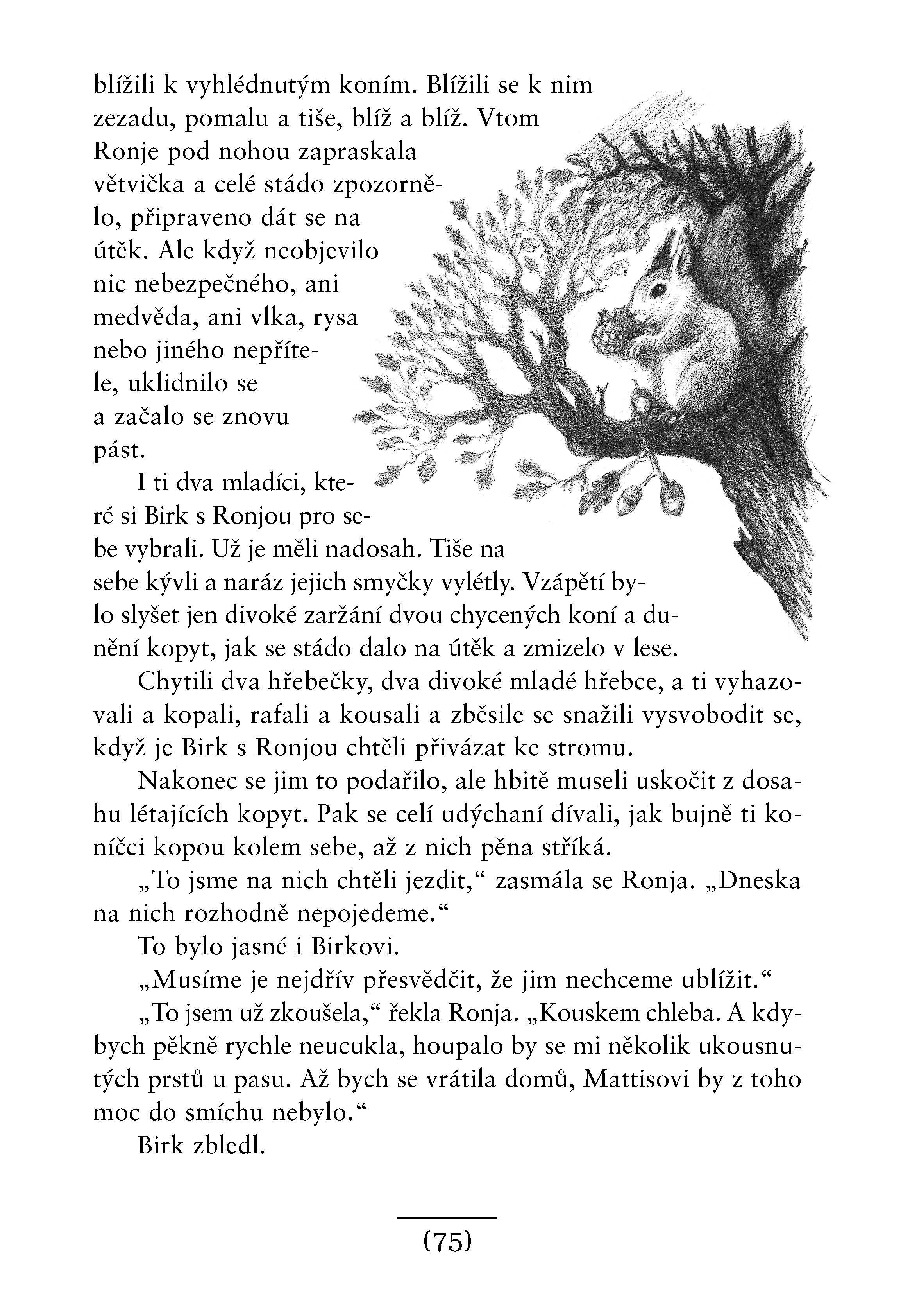 Ronja, dcera loupežníka