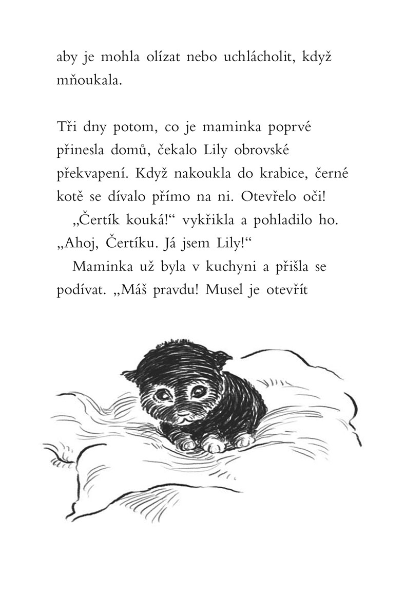 Příběhy se šťastným koncem - Našlo se koťátko!