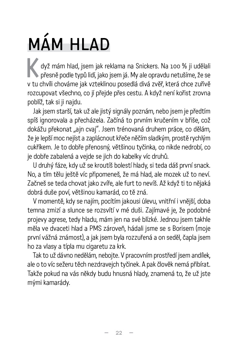 Deník tlustý kočičandy