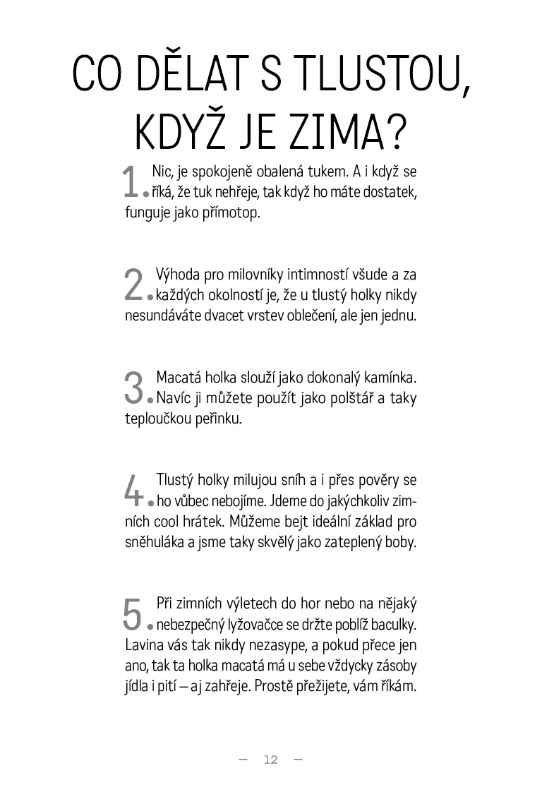 Deník tlustý kočičandy